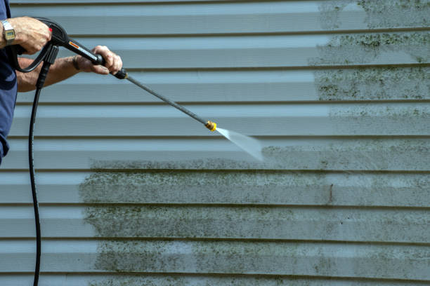Trusted Coloma, MI Pressure Washing Services Experts